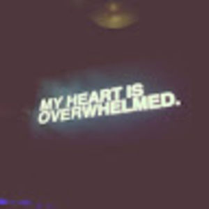 Meet your Posher, Shomokh